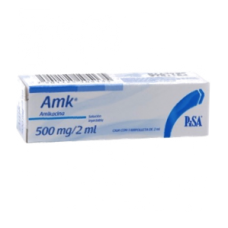 AMK AMIKACINA 500 MG/2ML DE 2ML IM 1 AMPOLLETA