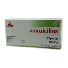 AMOXICILINA 12 CAPS 500 MG