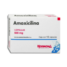 AMOXICILINA 12 CAPS 500 MG