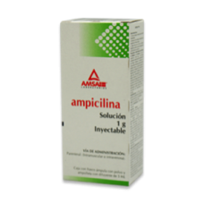 AMPICILINA 1 FA 1G/5 ML