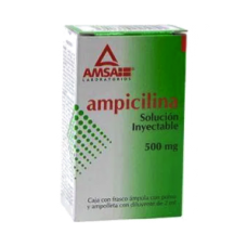 AMPICILINA 1 FA 500MG/2 ML