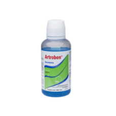 ARTROBEN 1 SOL 360 ML