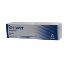 BERNIVER 2% 1 UNG 15 G