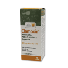 CLAMOXIN 1 SUSP 250/62.5MG/5/60 ML