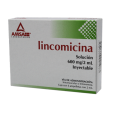 LINCOMICINA 600MG/2ML 6 AMPOLLETAS (ADULTO)