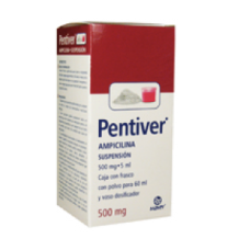 PENTIVER 1 SUSP 500MG/5/60 ML