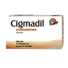 CIGMADIL 16 CAPS 300 MG