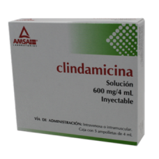 CLINDAMICINA 5 FA 600MG/4 ML